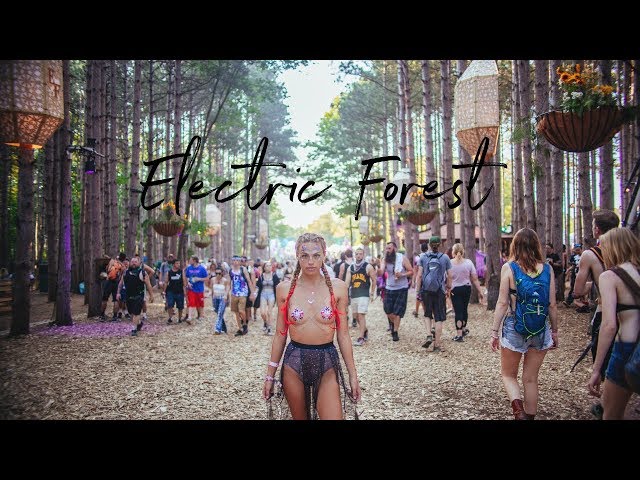 Electronic Music Festivals in Michigan in 2021