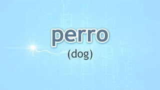 How to Pronounce Dog (Perro) in Spanish — YouLoop