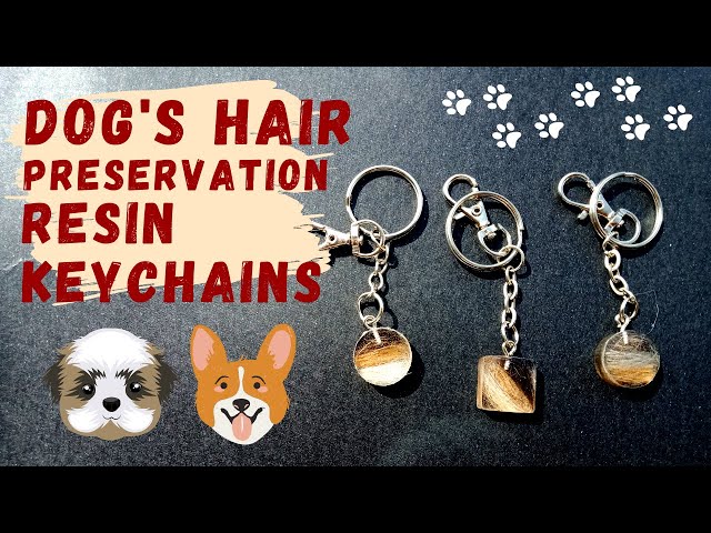 How To Preserve A Lock Of Dog Hair?