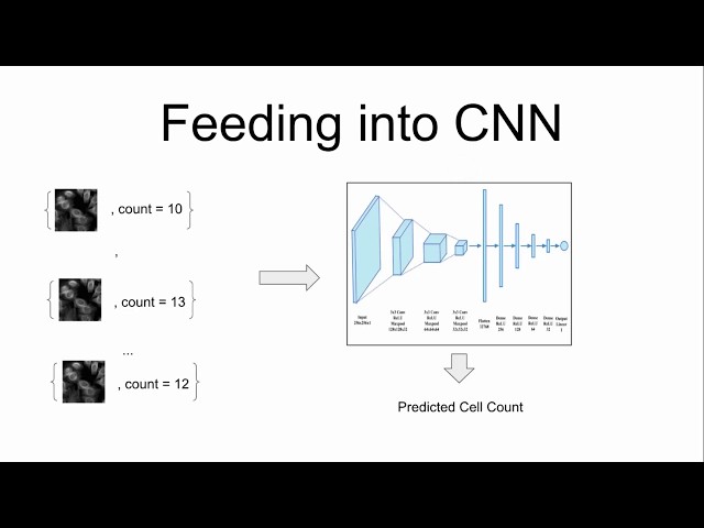 Machine Learning for Cell Counting