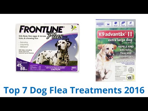 7 Best Dog Flea Treatments 2016 - UCXAHpX2xDhmjqtA-ANgsGmw