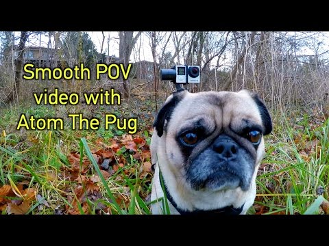 How To Get SMOOTH POV Video on a Dog! GoPro Tip #583 - UCTs-d2DgyuJVRICivxe2Ktg