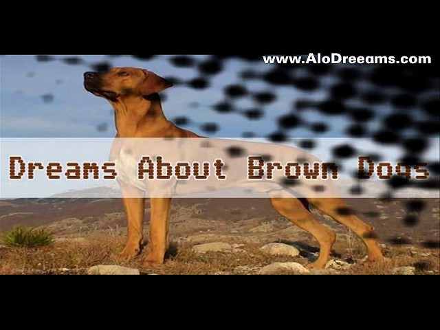 what-does-it-mean-to-dream-about-a-brown-dog-stuffsure