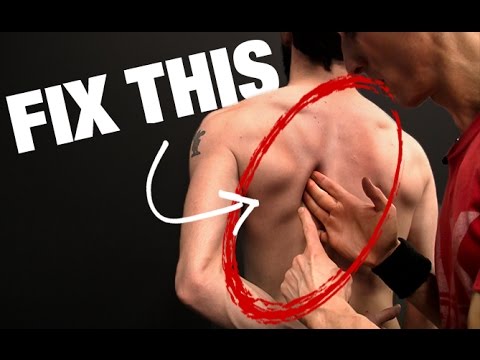 How to Fix Scapular Winging (STEP BY STEP!) - UCe0TLA0EsQbE-MjuHXevj2A