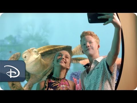 Disney Channel 365 – Walk the Prank Stars Share the Best Part of a Disney Cruise - UC1xwwLwm6WSMbUn_Tp597hQ