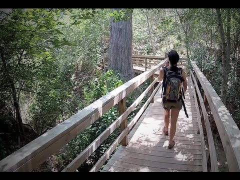 Happy Birthday Old Baldy at McKinney Falls, Texas July 2012 - UCTs-d2DgyuJVRICivxe2Ktg