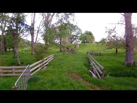 FPV practice (more trees) - UCTXOorupCLqqQifs2jbz7rQ