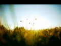 MV เพลง ดอกไม้ที่ยังไม่มีเจ้าของ - Seaduck