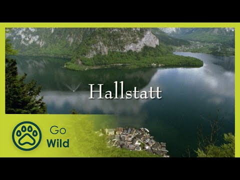 Hallstatt - Living Between Rock and Lake - The Secrets of Nature - UCVGTgXC1P--xM480Z6DqyAg