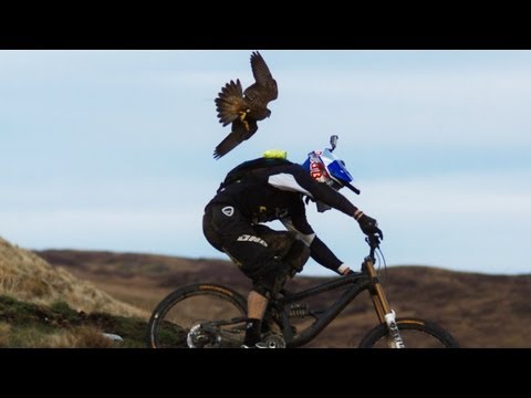 Gee Atherton gets hunted by a Peregrine Falcon - UCblfuW_4rakIf2h6aqANefA