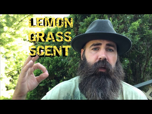 What Does Lemongrass Smell Like?