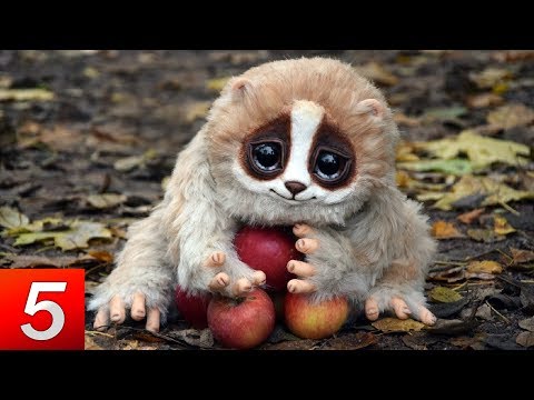 Top 10 Cute Animals That Can Kill You - UCmvqviNx70U0l4ZcvUAXxhA