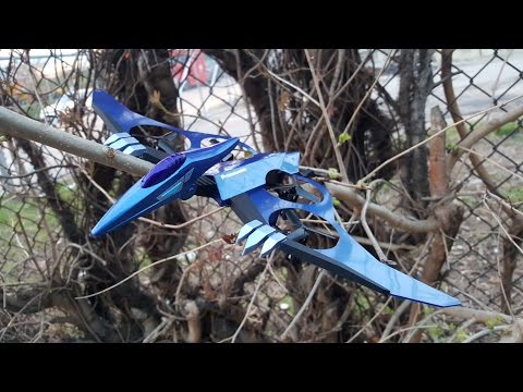 JXD 511v Pterosaurs Outdoor Flight Demo - UCNUx9bQyEI0k6CQpo4TaNAw