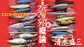 EVERGREEN（エバーグリーン インターナショナル） - DDエックス