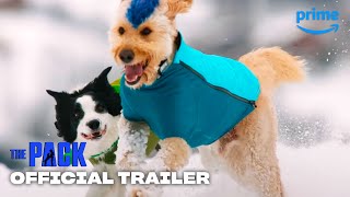 The Pack - Official Trailer | Prime Video