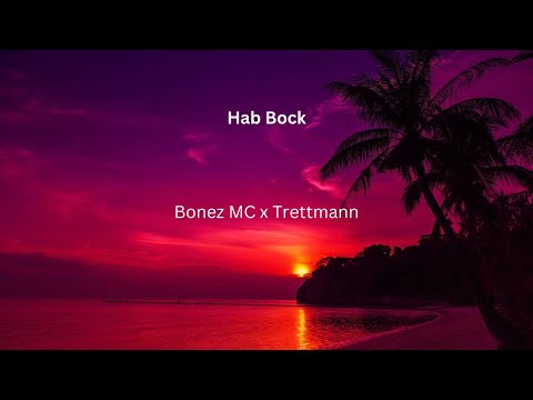 Bonez MC x Trettmann - Hab Bock (Lyrics)