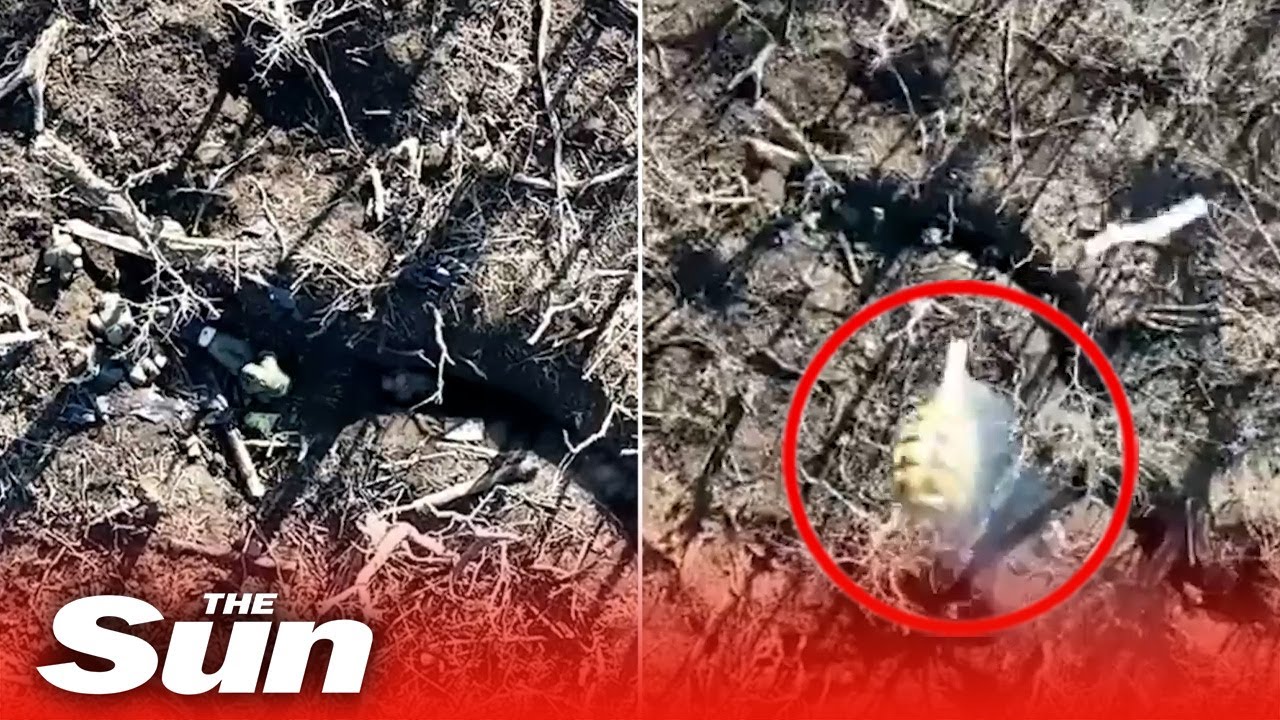 Ukrainian drone drops GRENADE on Russian Soldier in direct hit