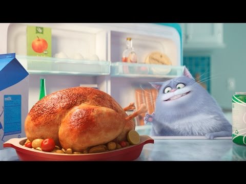 The Secret Life of Pets ALL TRAILERS - 2016 Animation - UCnIup-Jnwr6emLxO8McEhSw