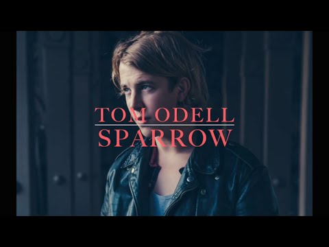 Tom Odell - Sparrow (lyrics)