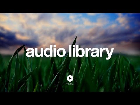 Grass - Silent Partner (No Copyright Music) - UCht8qITGkBvXKsR1Byln-wA