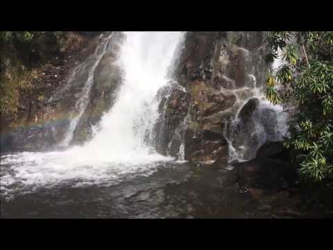 Steavenson Falls - Marysville Victoria - November 2016 - UCIJy-7eGNUaUZkByZF9w0ww