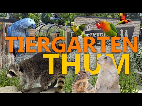 Tiergarten Thum - Ein Kleinod im Erzgebirge? | Zoo-Eindruck