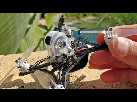 Eachine Twig and Baby Turtle Caddx - UC4yjtLpqFmlVncUFExoVjiQ