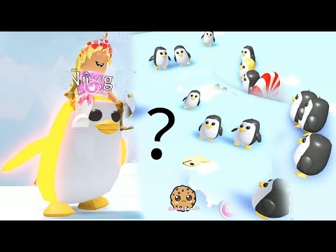 RARE Gold Penguin Let's Play Roblox Adopt Me Video Game - UCelMeixAOTs2OQAAi9wU8-g