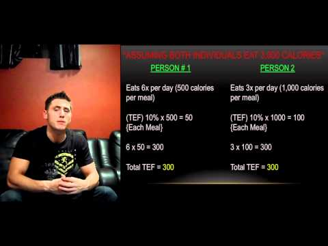 Meal Frequency - How Many Meals Should I Eat Per Day? - UCHZ8lkKBNf3lKxpSIVUcmsg