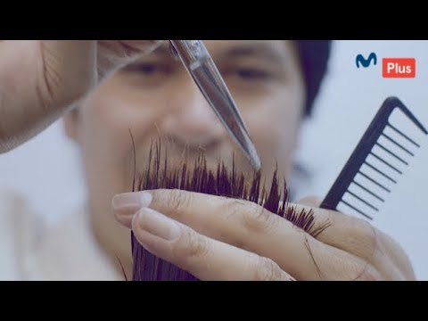 Hoja de Vida: ¿Cada cuánto tiempo debemos cortarnos el cabello? - UCKc2cPD5SO_Z2g5UfA_5HKg