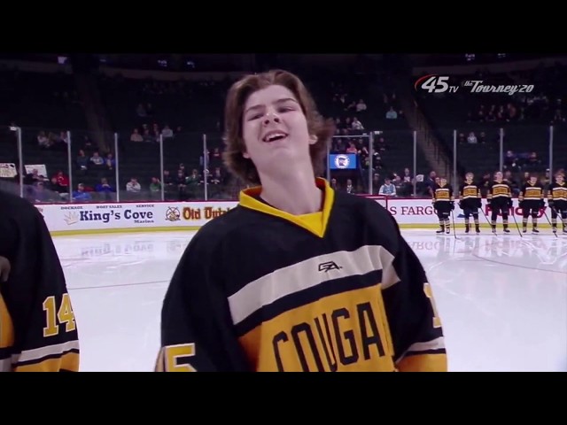 The Hockey Mullet: Combining Function and Style