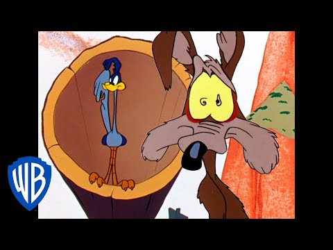 Looney Tunes | Ready,Set, Catch the Roadrunner! | Classic Cartoon | WB Kids