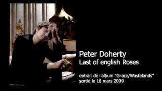 Peter Doherty - Last of the English roses