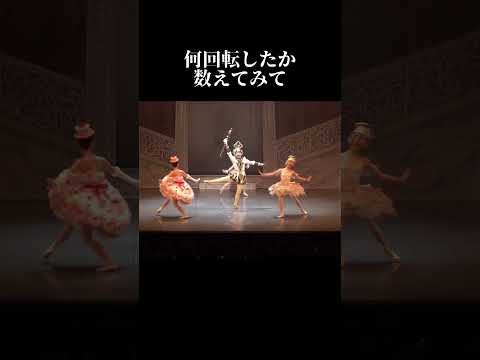 8・9月 美女と野獣の舞台が決定🔥詳細は“ヤマカイ 美女と野獣”で検索✅