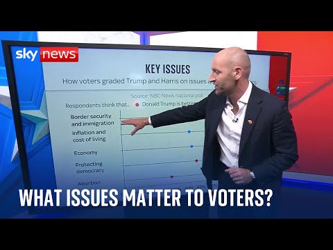 Abortion and border security: The key issues for American voters | US election 2024