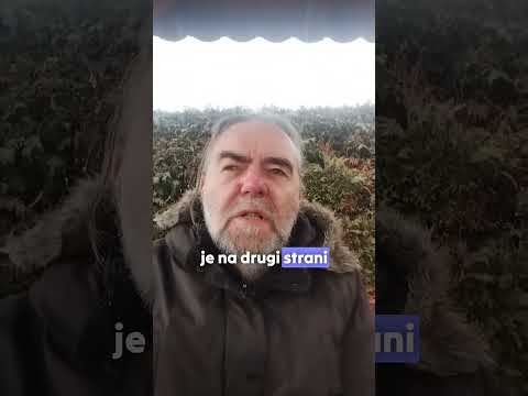 Zakaj narcisi obožujejo vašo bližino? 🪞💡