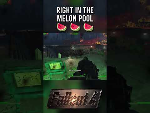 NOT THE MELON POOL