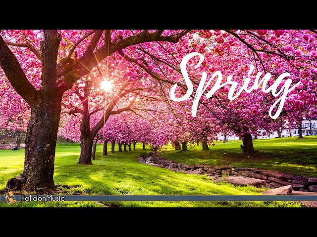 The Best Classical Music for Spring