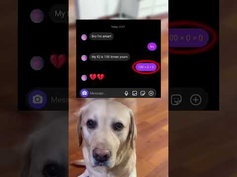 #memes #story #dog #shorts #pets