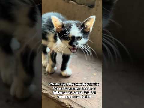 link in bio to donate