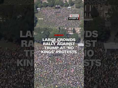 Large crowds rally against Trump at 'No Kings' protests across the US