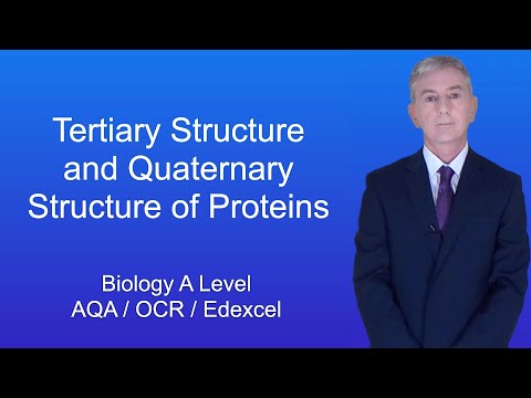 A Level Biology Revision "Protein Structure 2"