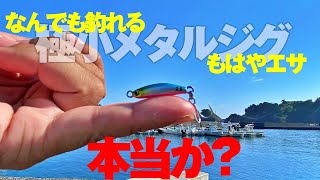 EVERGREEN（エバーグリーン インターナショナル） - NEOS-76M-T
