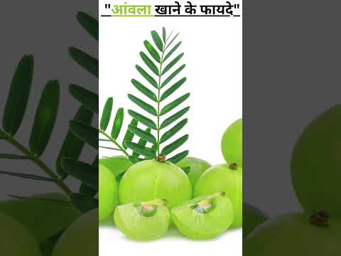 "आंवला खाने के फायदे"🍈Benefits of Eating Gooseberry | Natural Vitamin C Power💪एक छोटा फल, हजार फायदे