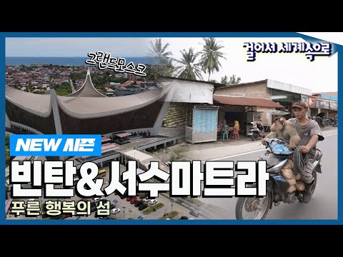 [✨NEW✨#걸어서세계속으로📺] 인도네시아 푸른 적도의 섬 '빈탄&서수마트라' 여행' Trip to Bintan&Sumatra (KBS_20231202)