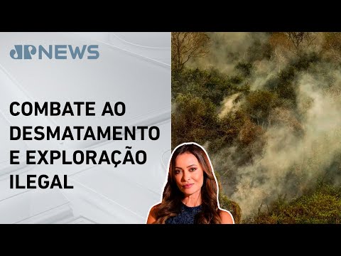 STF dá prazo de 60 dias para Amazônia e Pantanal usarem Sinaflor; Patrícia Costa analisa