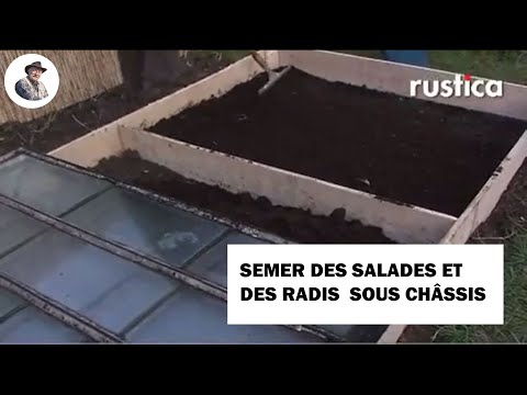 Semer des salades et des radis sous châssis froid sur ados