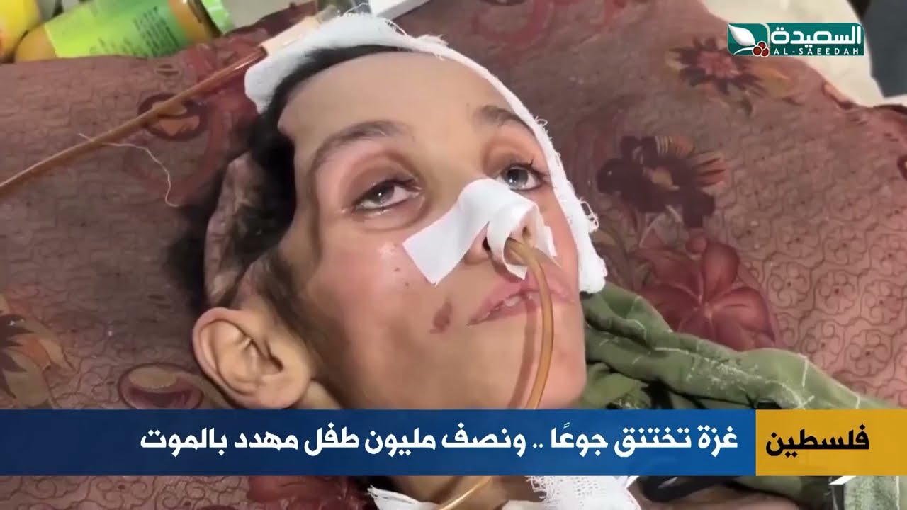 قناة السعيدة