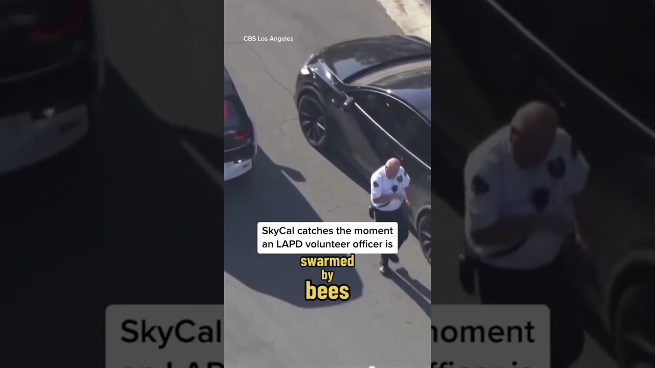 Bees swarm volunteer cop in Los Angeles #shorts