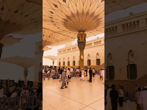 please click My video #viral #shortsviral #beautiful